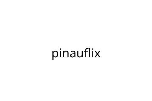 pinauflix