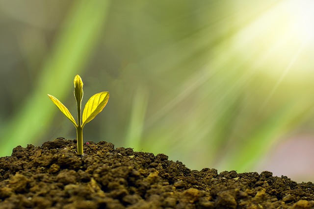 Strategies for Achieving Sustainable Business Growth