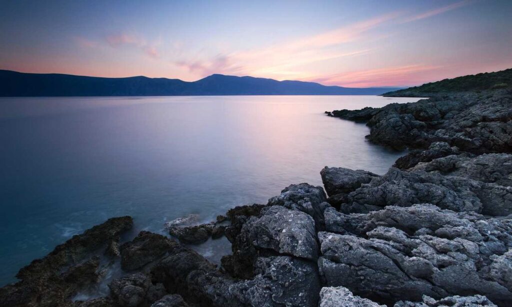 car advice roarcultable