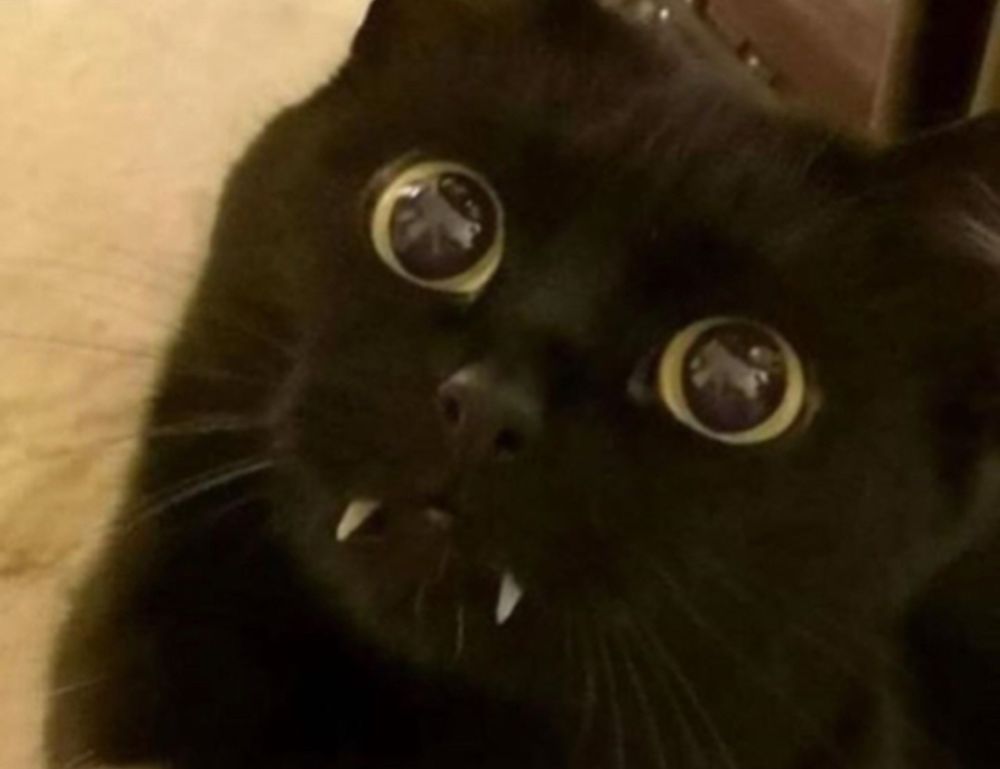 culture news roarcultable