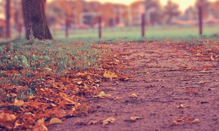 play version caladriusapk20192