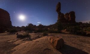 roarcultable latest crypto trends from riproar