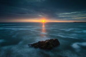 which culture do i belong to roarcultable