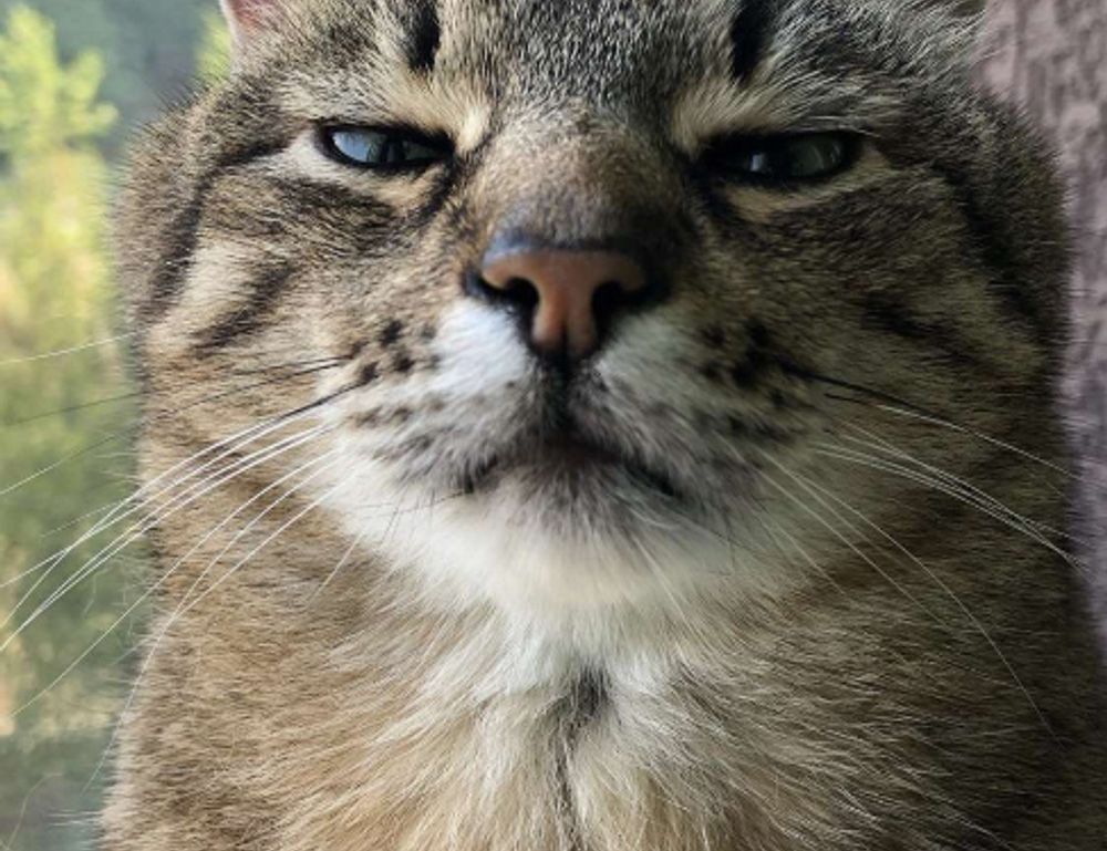 which culture do i belong to roarcultable