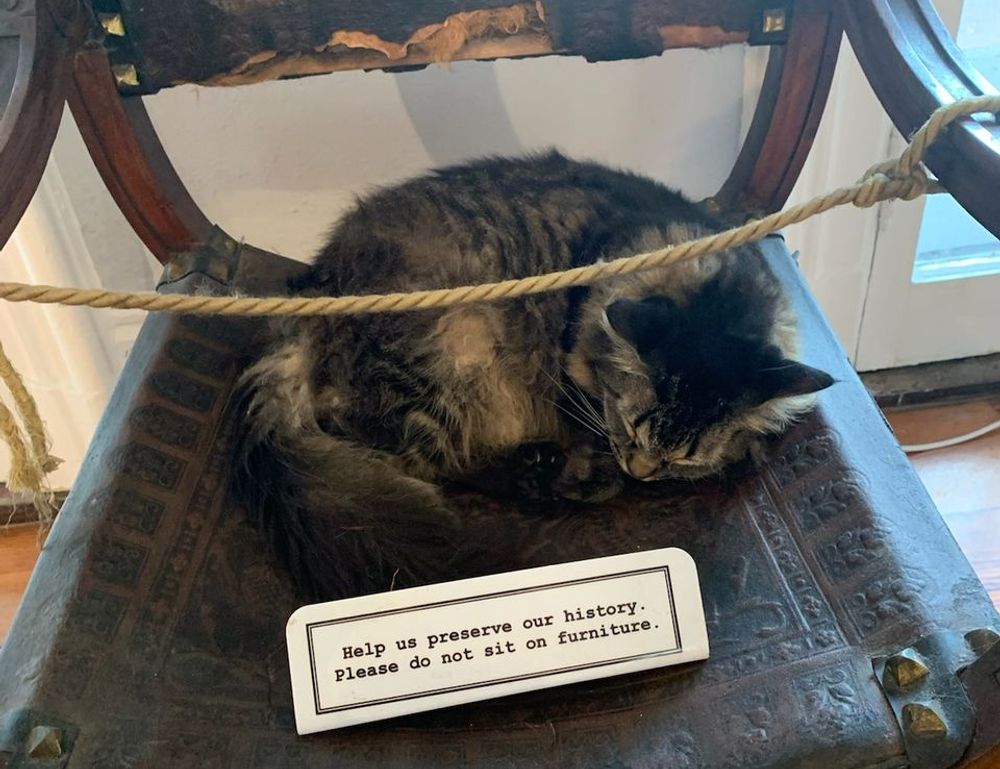 why culture matters in business roarcultable