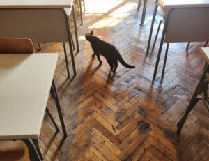 why culture matters roarcultable