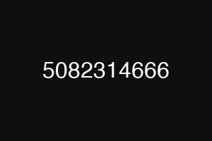 5082314666