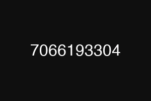 7066193304