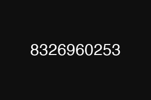 8326960253
