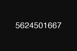 5624501667