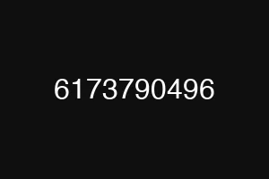 6173790496