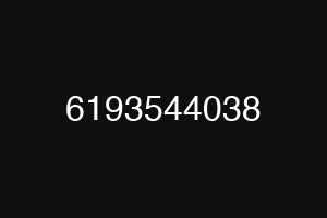6193544038