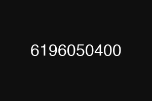 6196050400