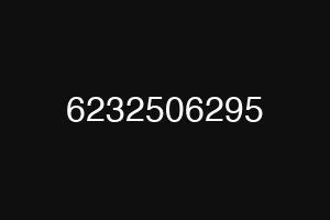 6232506295