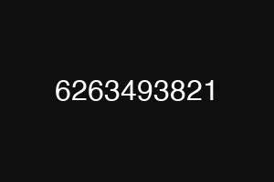 6263493821