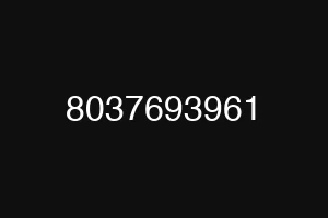 8037693961