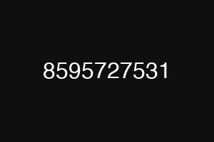 8595727531