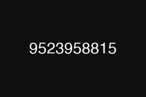 9523958815